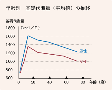 年齢別の基礎代謝量の平均値推移