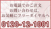 �t���[�_�C����