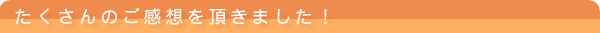 ��ŷ�顼����ӥ塼
