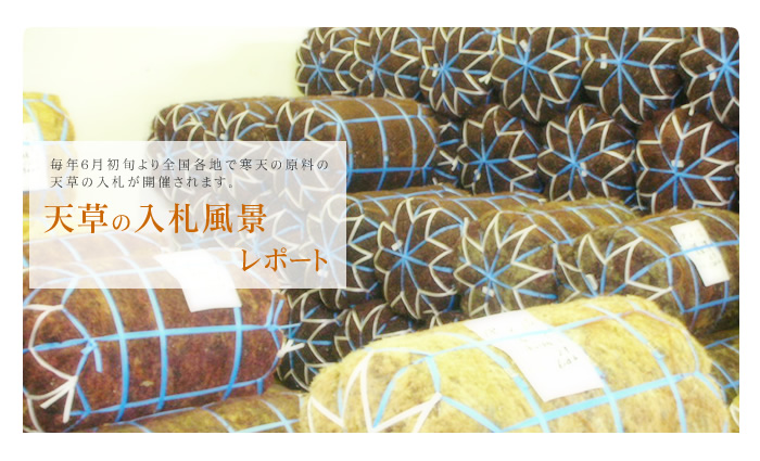 天草入札風景レポート