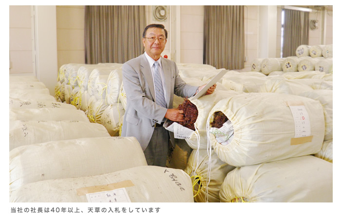 40年以上天草の入札をしています