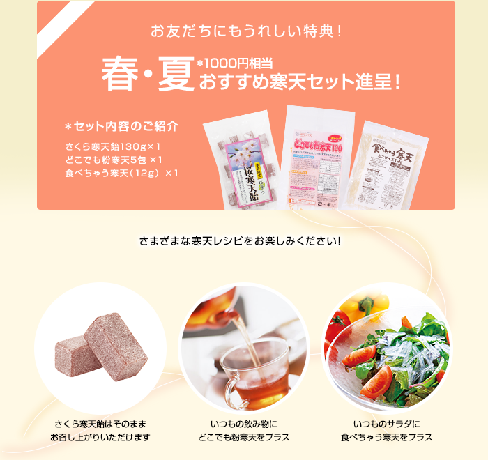 寒天セットプレゼント
