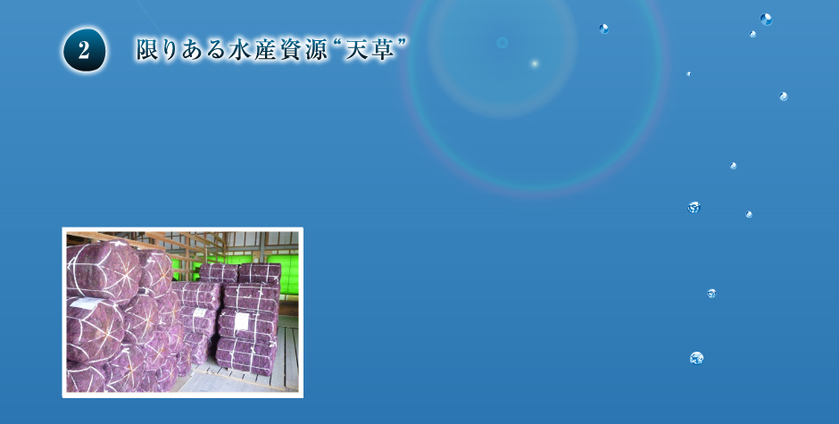 限りある水産資源