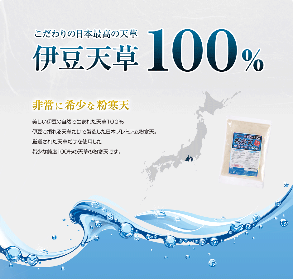 伊豆天草　100%